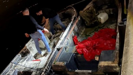 İstanbul’da 1 buçuk ton kaçak midye ele geçirildi – Son Dakika Türkiye Haberleri