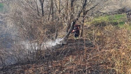 Sinop’ta orman yangını: 5 hektarlık alan zarar gördü – Son Dakika Türkiye Haberleri